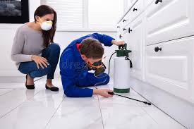 Best Emergency Pest Control  in Cary, NC